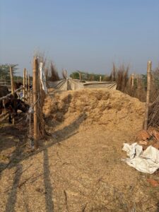 sgn-foundation-gaushala2