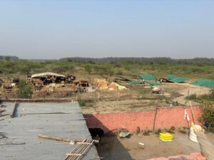 sgn-foundation-gaushala7